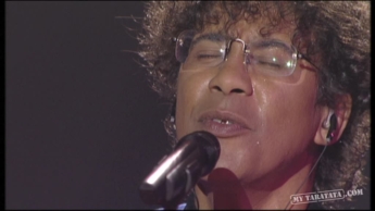 Laurent Voulzy "Rock Collection" (1995)